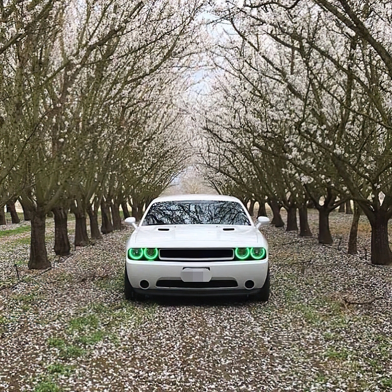Dodge Challenger Headlight Halo Kit - ORACLE Lighting - LED Projector - Green - `08-`14